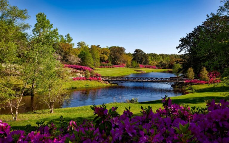 Valiant Getaways A beautiful spring garden landscape featuring vibrant pink flowers, a serene river, and a picturesque bridge.